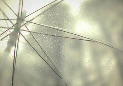 蘑菇视频的魅力与争议：探讨其“后劲太大”的原因